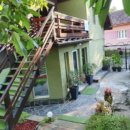 Casa Mea De Vacanta Baia Sprie Zewnętrze zdjęcie
