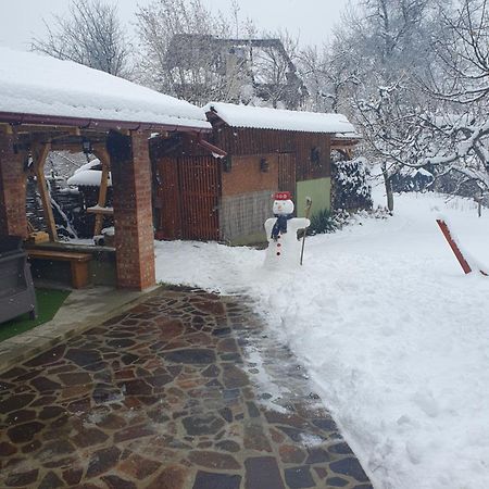 Casa Mea De Vacanta Baia Sprie Zewnętrze zdjęcie