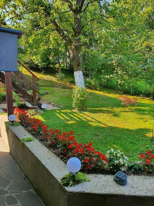 Casa Mea De Vacanta Baia Sprie Zewnętrze zdjęcie