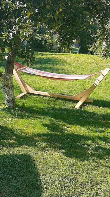 Casa Mea De Vacanta Baia Sprie Zewnętrze zdjęcie