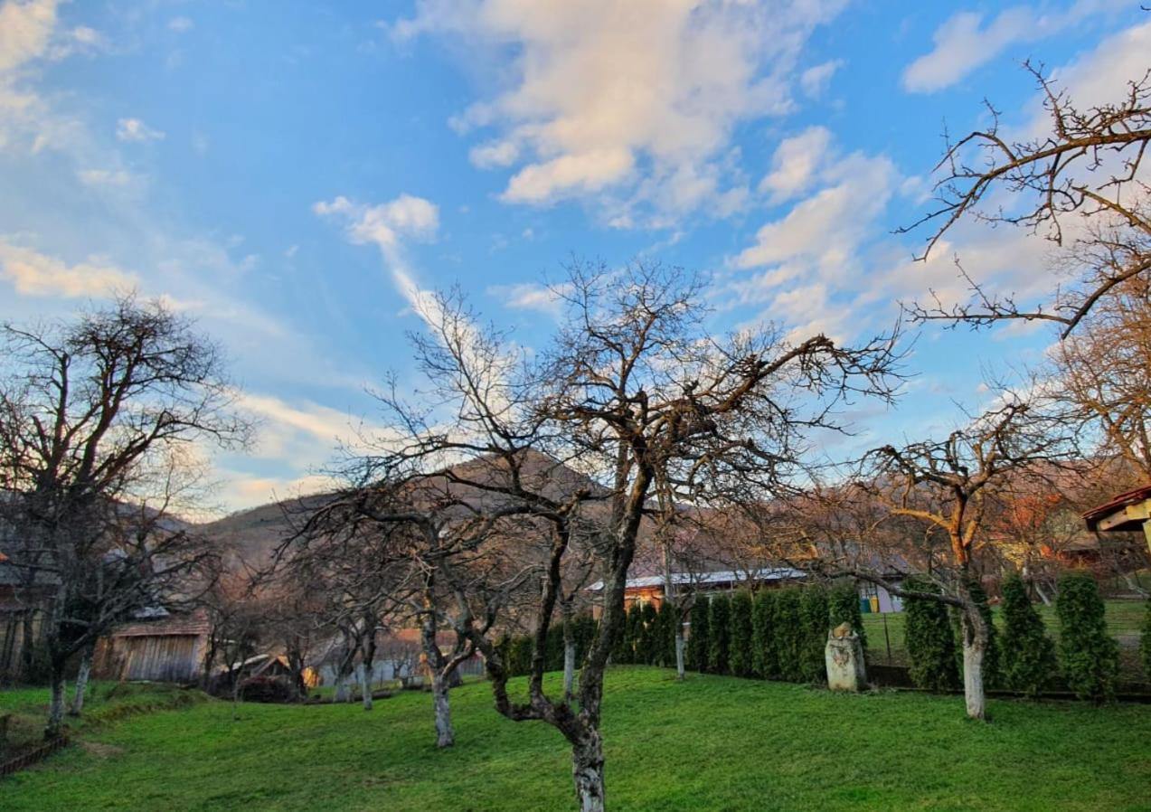 Casa Mea De Vacanta Baia Sprie Zewnętrze zdjęcie