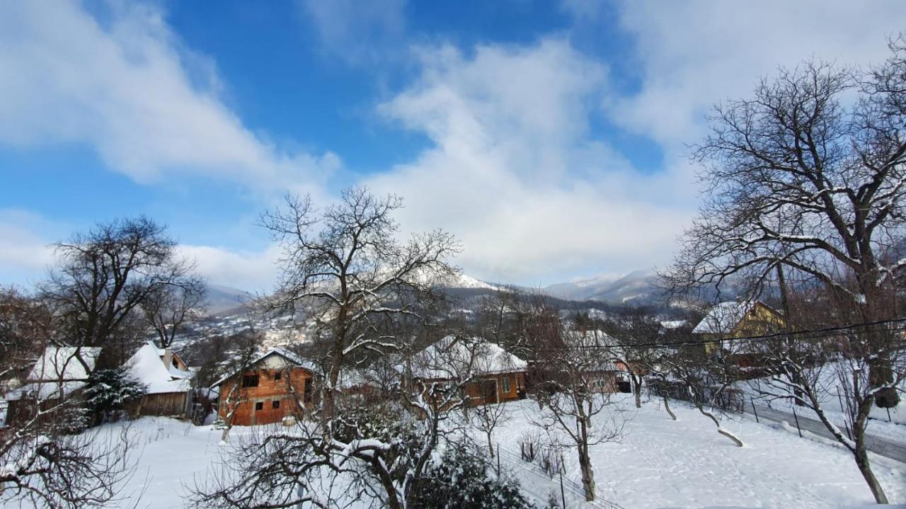 Casa Mea De Vacanta Baia Sprie Zewnętrze zdjęcie