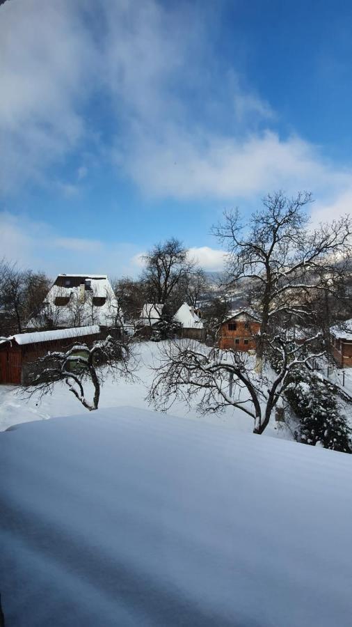 Casa Mea De Vacanta Baia Sprie Zewnętrze zdjęcie