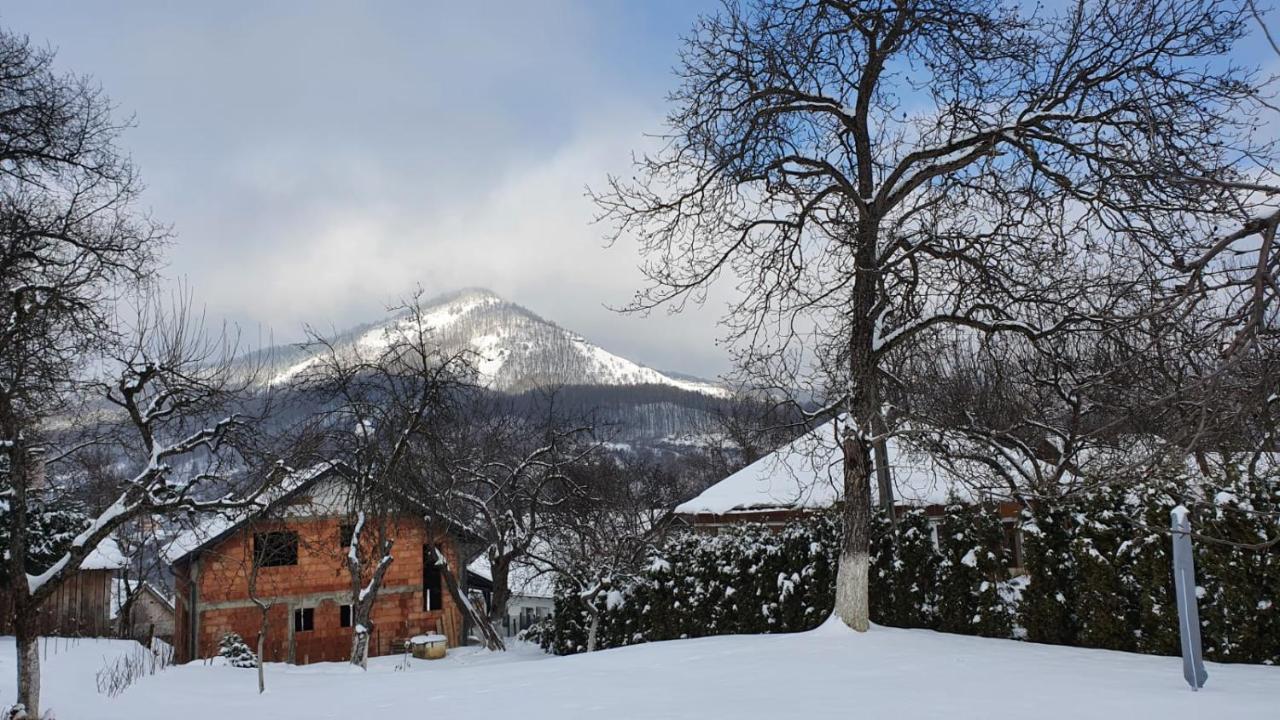 Casa Mea De Vacanta Baia Sprie Zewnętrze zdjęcie