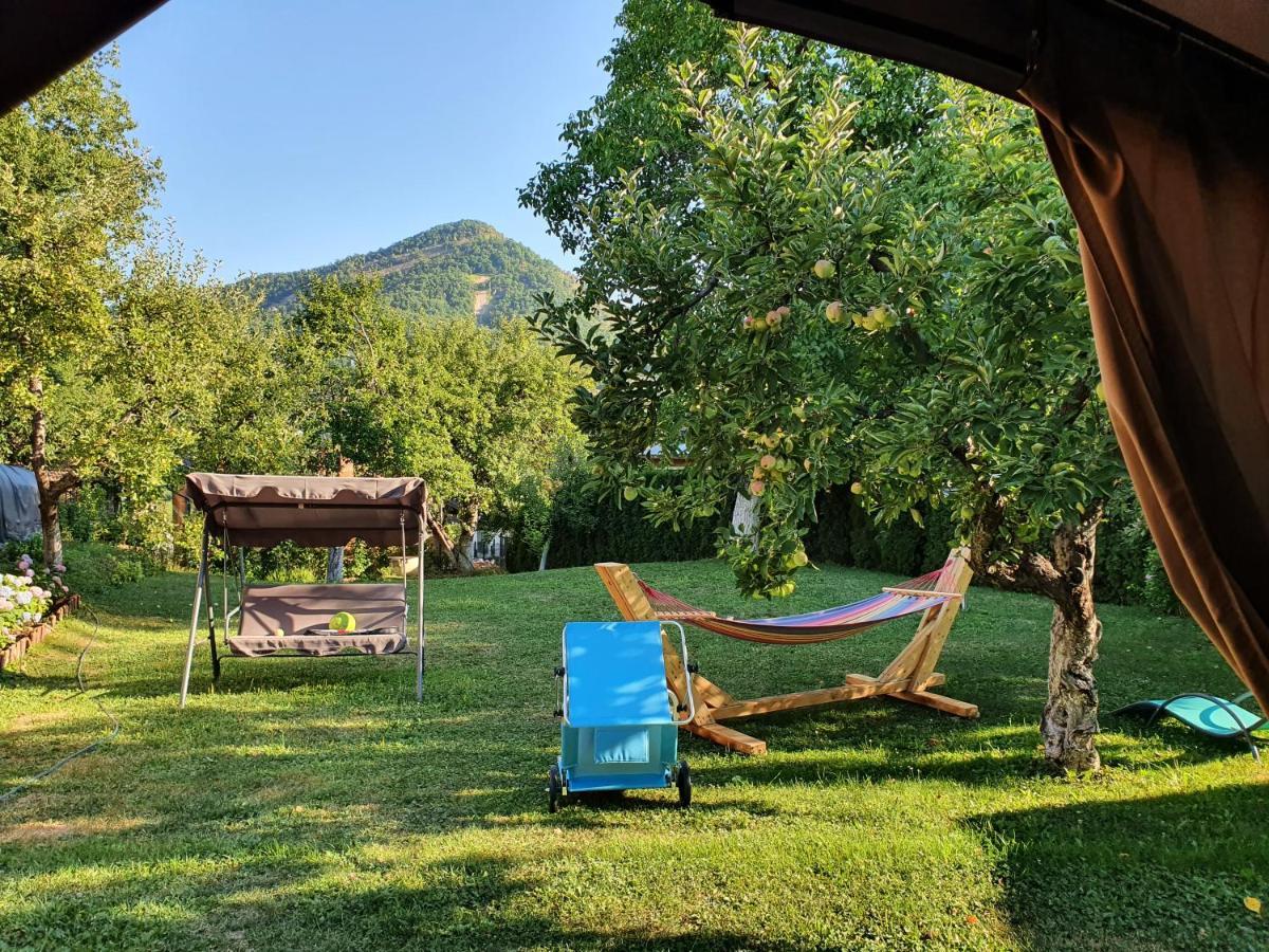Casa Mea De Vacanta Baia Sprie Zewnętrze zdjęcie