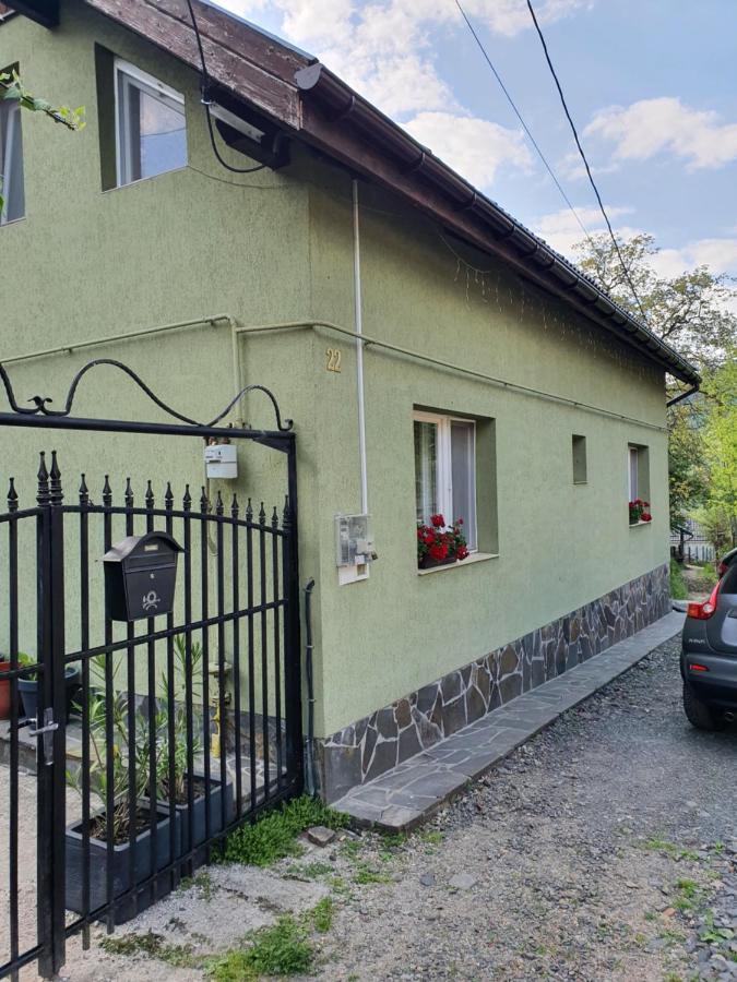 Casa Mea De Vacanta Baia Sprie Zewnętrze zdjęcie