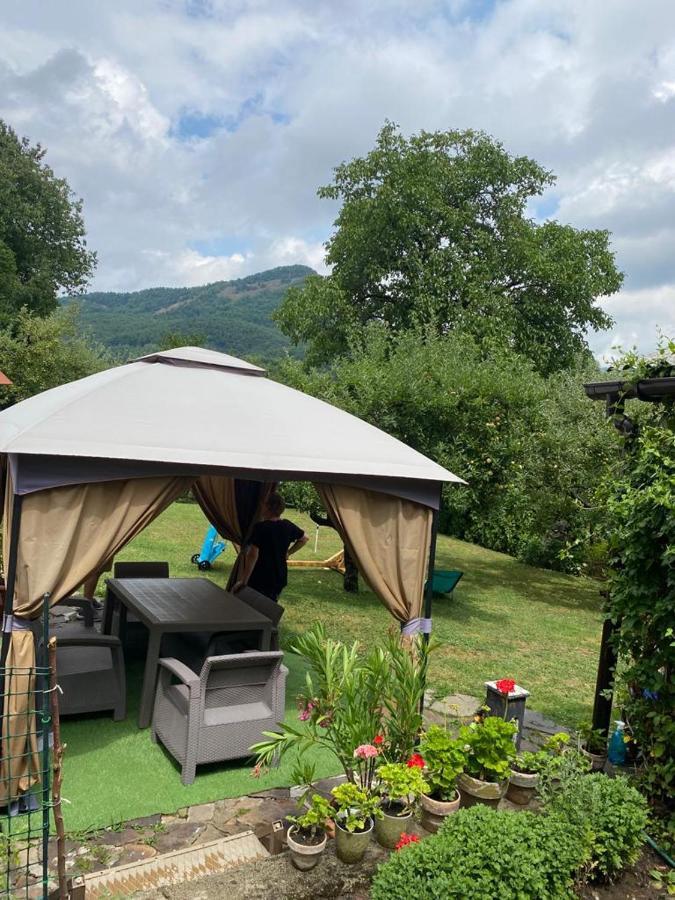 Casa Mea De Vacanta Baia Sprie Zewnętrze zdjęcie